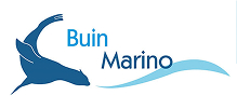 Buin Marino Buin Marino